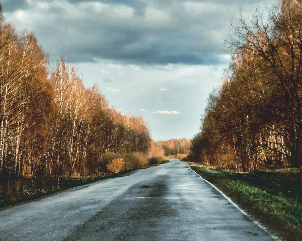  Фотография дороги в деревню Акимовка Жиздринского района 